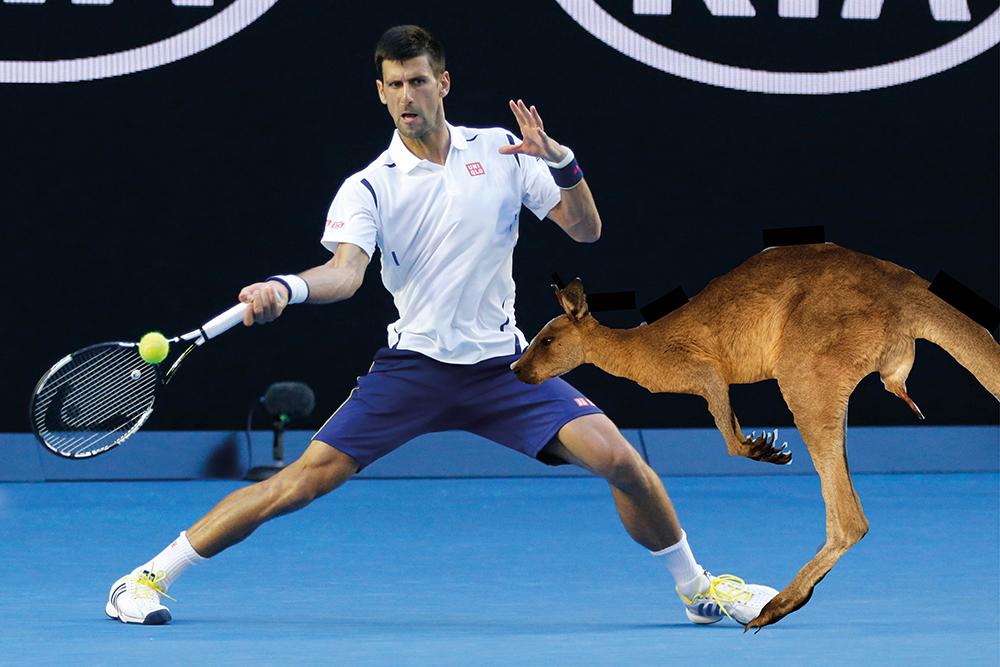 Rageful Djokovic to throw racket at kangaroo after finally being declared 'out' by Australian umpires
